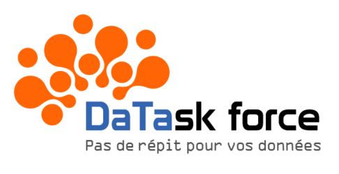 THE DATA TASK FORCE